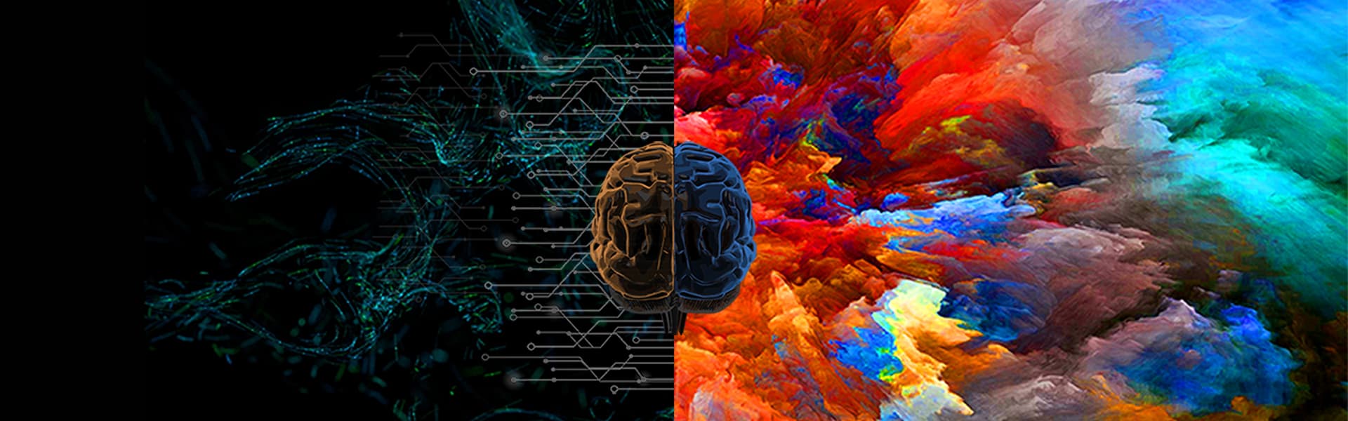 Left brain, right brain image